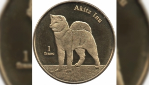 Akita Inu (AKITA) coin geleceği, Akita alınır mı? 10 Mayıs Akita coin analizi