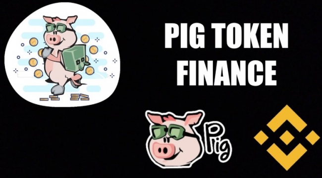 Pig Finance (PIG) coin geleceği, yeni listelenen PIG coin nedir? PIG coin nereden alınır?