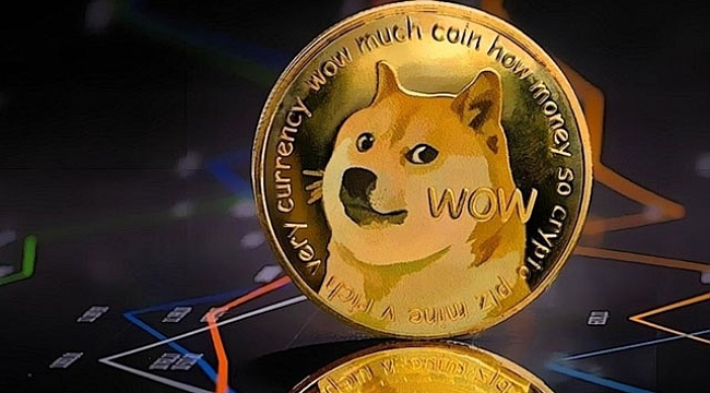 Geçen yıl 1000 Dolar Dogecoin (DOGE) yatırımı yapan yatırımcının parası bugün ne kadar?