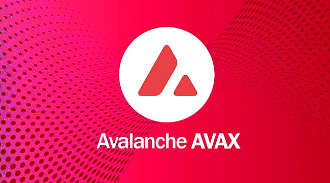  Avax (AVAX) fiyat analizi