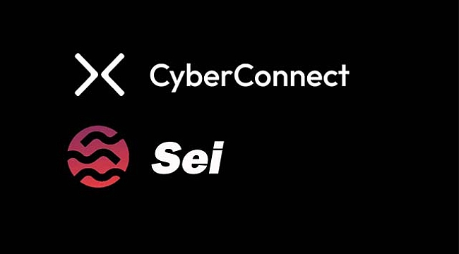 Binance müjdeledi! CyberConnect (CYBER) ve Sei (SEI) işlemleri başlıyor